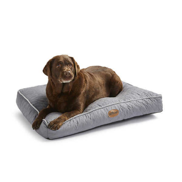 Silentnight Ultrabounce Pet Bed & Reviews Wayfair.co.uk